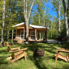 Bear Cabin - Cozy Forest Retreat nearby Lake