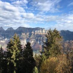 Unterkunft FLUMSERBERG TANNENHEIM