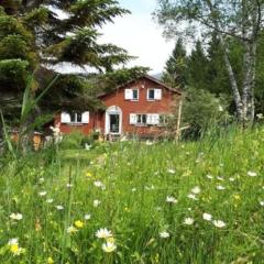 Chalet Chic mit Hot Pot