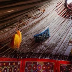 Nomadic Life in a yurt
