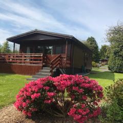 Bluebell Lodge 5 with Hot Tub