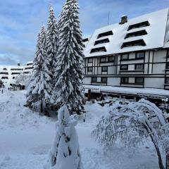 Apartments Konaci Kopaonik