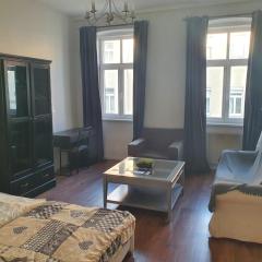 Spacious Apartment near the center