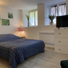 Studio confort avec WiFi au centre de La Roche-Posay, proche Thermes, parking gratuit, 1-2 pers - FR-1-541-95