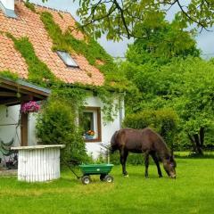 Apartamenty na wsi Horses&Relax