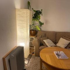 Cosy Studio West Hampstead