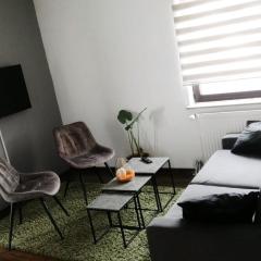 Modern Apartment 2