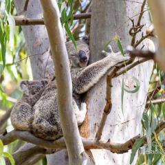 A quiet unit overlooking a reserve