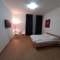 Piata Unirii- 1 Room Studio Apartment