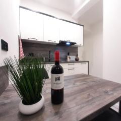 Apartments MiS-for you in city center