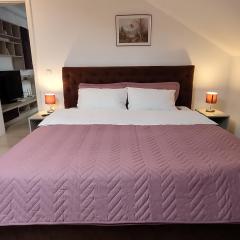Simona Apartament Palas Mall