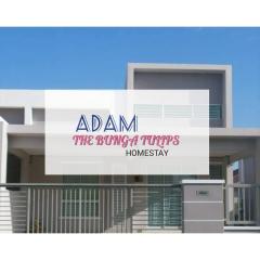 AdamPoolHomestay