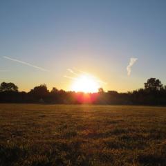 Pitch your own tent in beautiful location Kent Sussex border