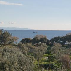 Mina's Studios in Naxos Island