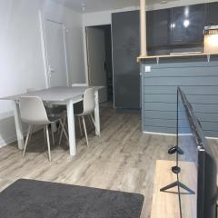 Superbe appartement en hyper centre-ville