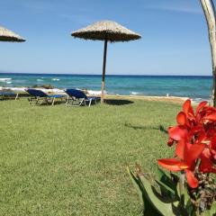 Studio Thalassa
