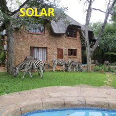 Kruger Safari Animal Encounter