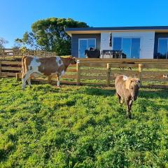 Country Comfort - only 10 minutes from Hamilton CBD
