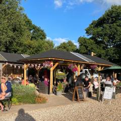 Glamping at Back Of Beyond Touring Park