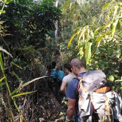 My friend homestay& SonaTrekking Tours