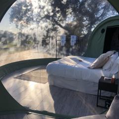 El Toril Glamping Experience