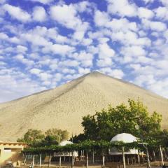 Glamping Entre Viñas