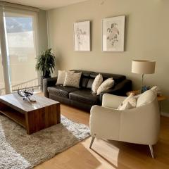 Lanikea Ocean View Apartment condo