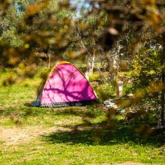 camping panorama