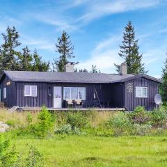 Nice Home In Sjusjoen