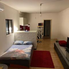 Adorable 1-bedroom guesthouse & private parking place