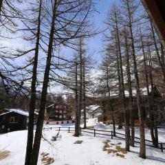 Chalet La Sapinière