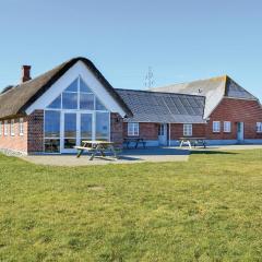 Lovely Home In Ringkøbing With Wifi