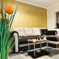 New Studio Apartment Timisoara Town