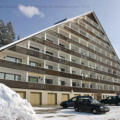 Apartments in Bad Mitterndorf - Steiermark 41117