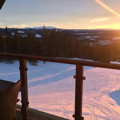 Björnrike Vemdalen. Mitt i backen