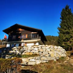 Ferienwohnung im Chalet am Bach