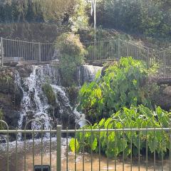 צימר יערת הדבש