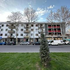 cozy 2-bedroom apartment in Gori