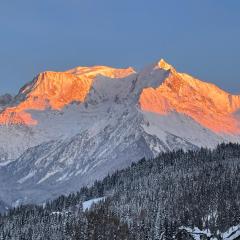 Vue splendide Mont Blanc