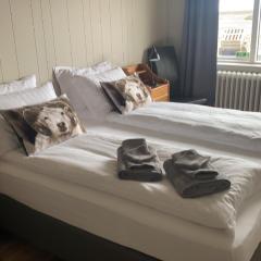 Álftártunga Farm Guesthouse