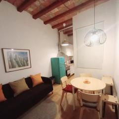 One bedroom apt near Picasso Museum