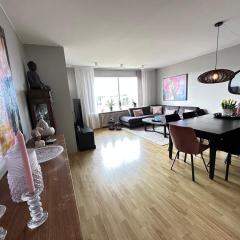 Cosy apartment centrally located in Reykjavik