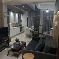 Central 4 Modern Apartment with free parking