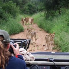 NDZUTI BUSH CAMP