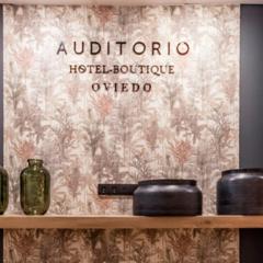 Auditorio Rooms Boutique Oviedo