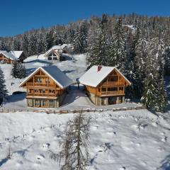 Chalet Hochrindl 2 B