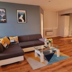 Modern and spacious Swansea centre apartment