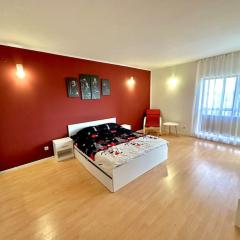 Apartament Novara 2