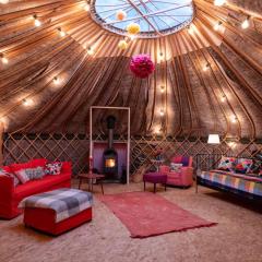 Giant Yurt Sleeping 8 with Spa, Catering, Walled Gardens, Nature Reserve, Free Parking