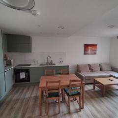 Lovely Apartment with Free Parking One Bedroom 416